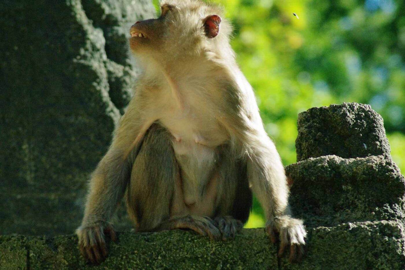 2016-08-17 - Zoo Osnabrück