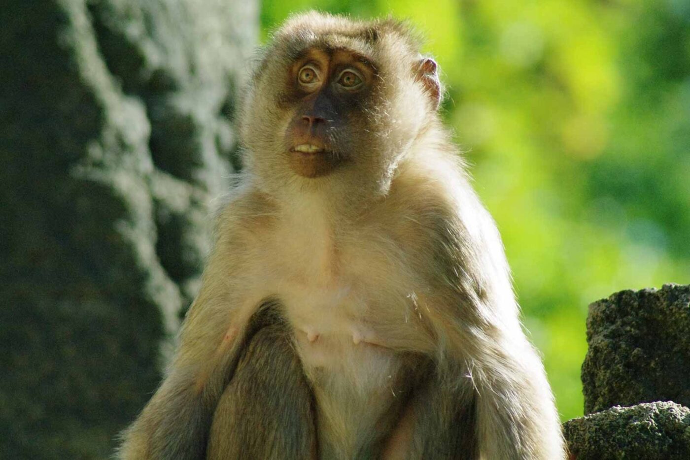 2016-08-17 - Zoo Osnabrück