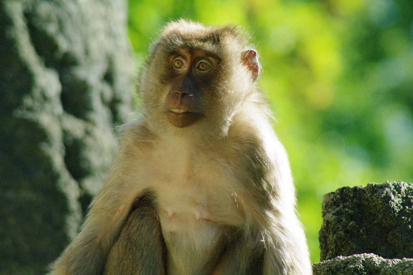 2016-08-17 - Zoo Osnabrück