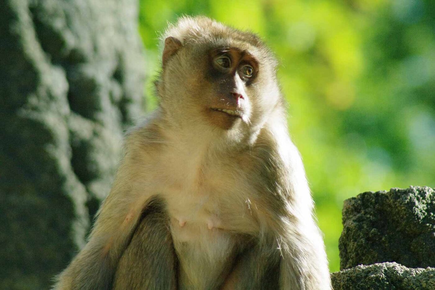 2016-08-17 - Zoo Osnabrück