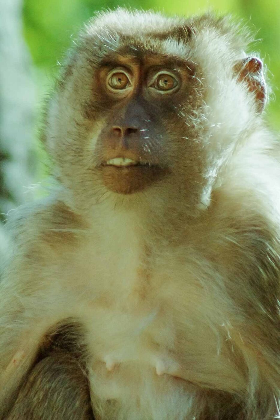 2016-08-17 - Zoo Osnabrück