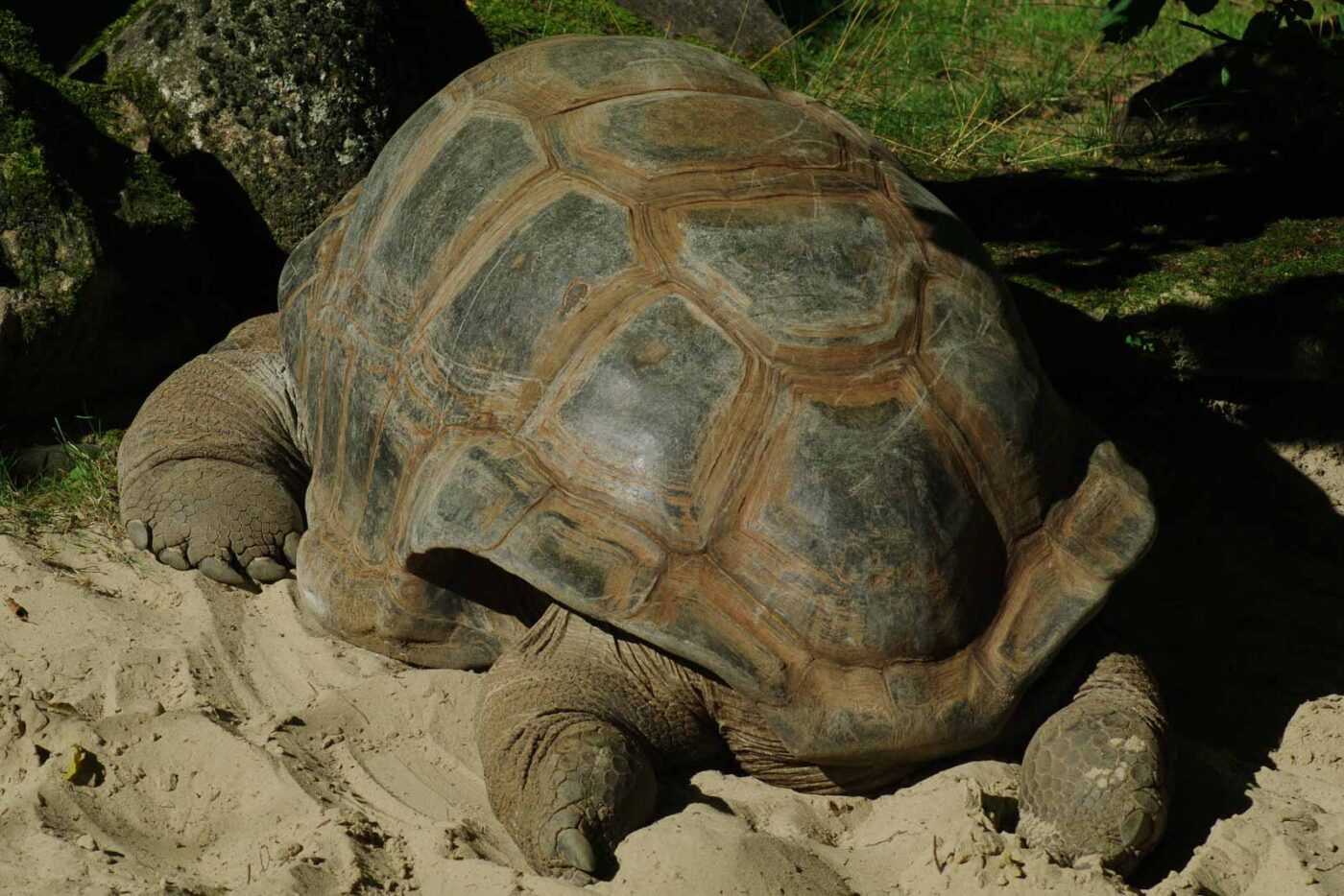 2016-08-17 - Zoo Osnabrück
