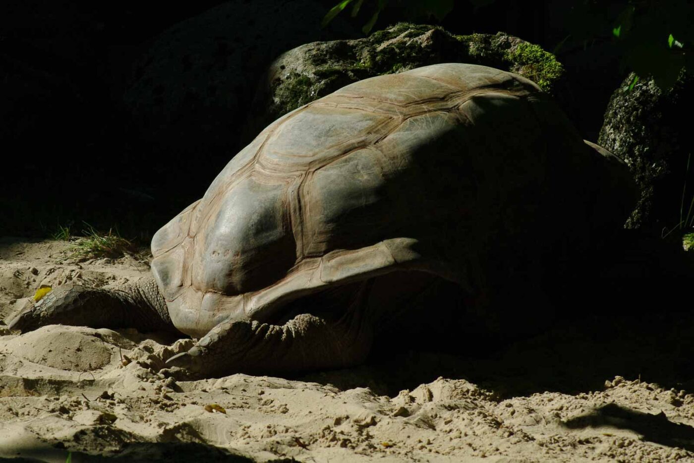 2016-08-17 - Zoo Osnabrück