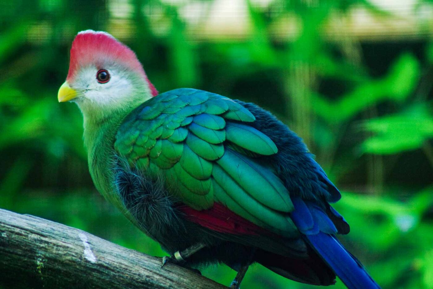 2016-08-17 - Zoo Osnabrück