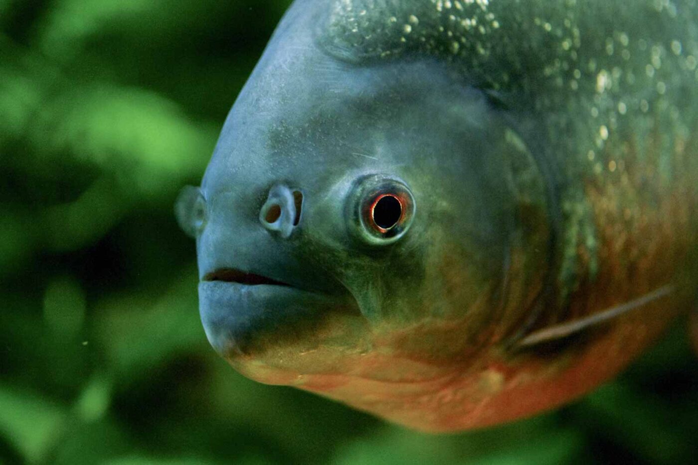 2016-08-17 - Zoo Osnabrück