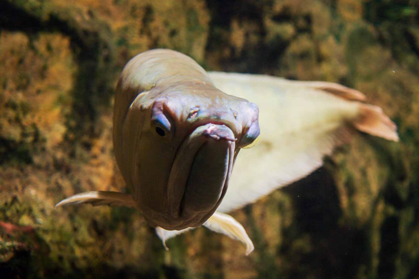 2016-08-17 - Zoo Osnabrück