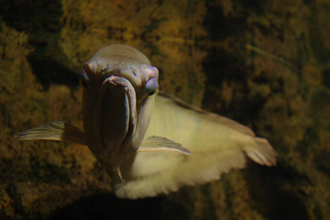 2016-08-17 - Zoo Osnabrück