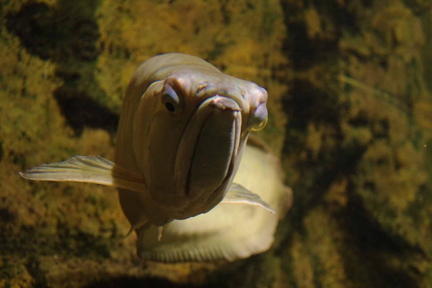 2016-08-17 - Zoo Osnabrück