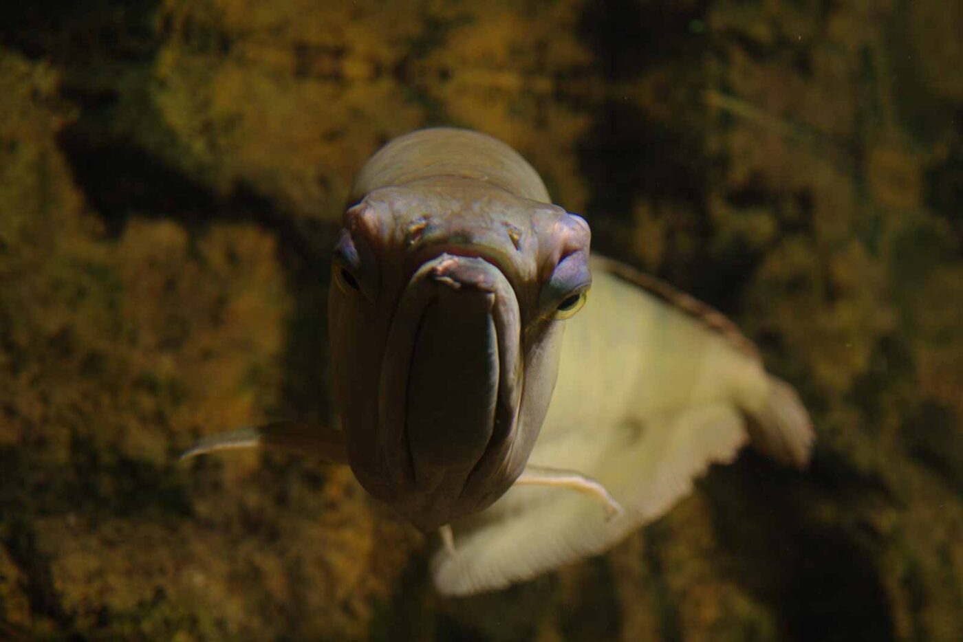 2016-08-17 - Zoo Osnabrück