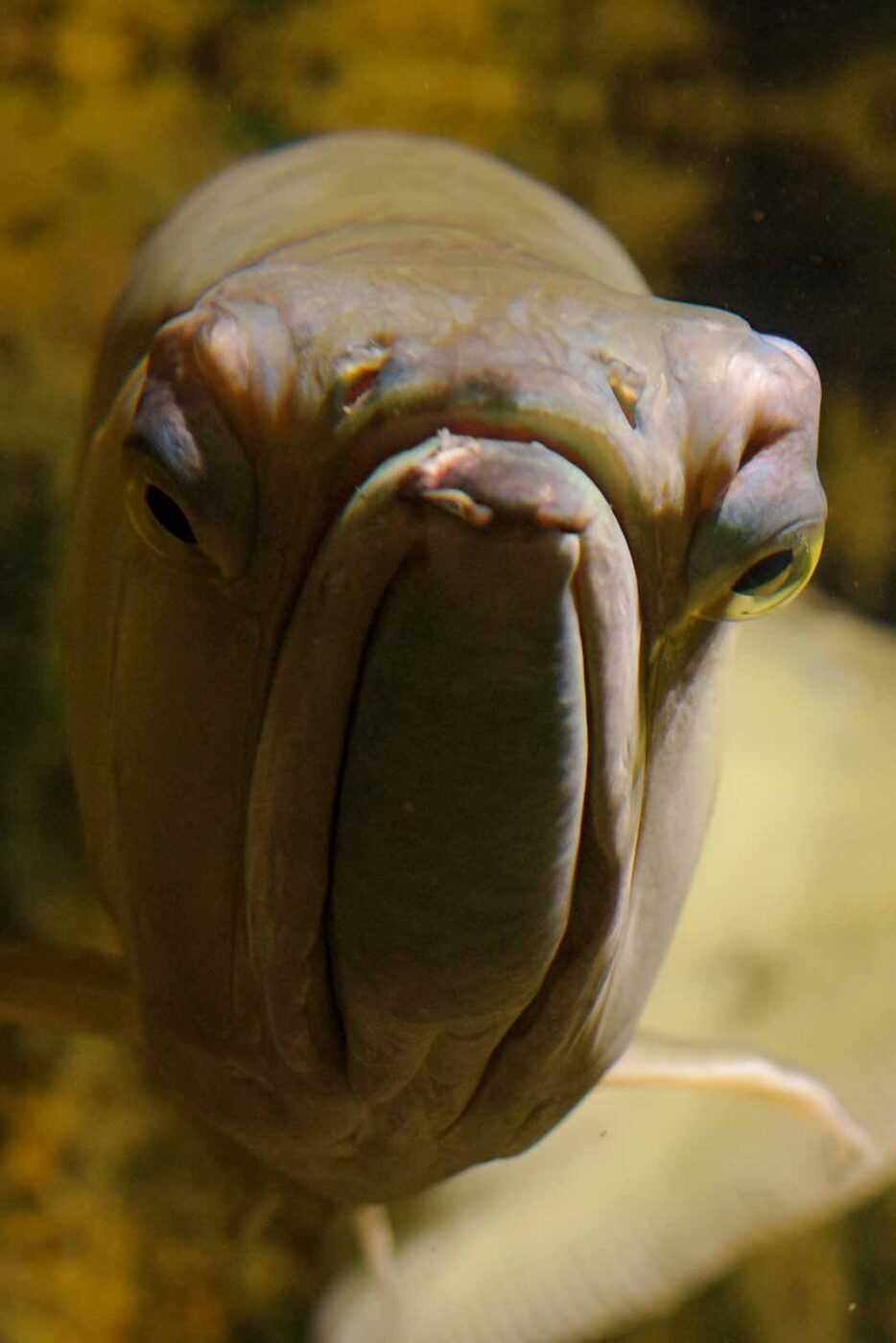 2016-08-17 - Zoo Osnabrück