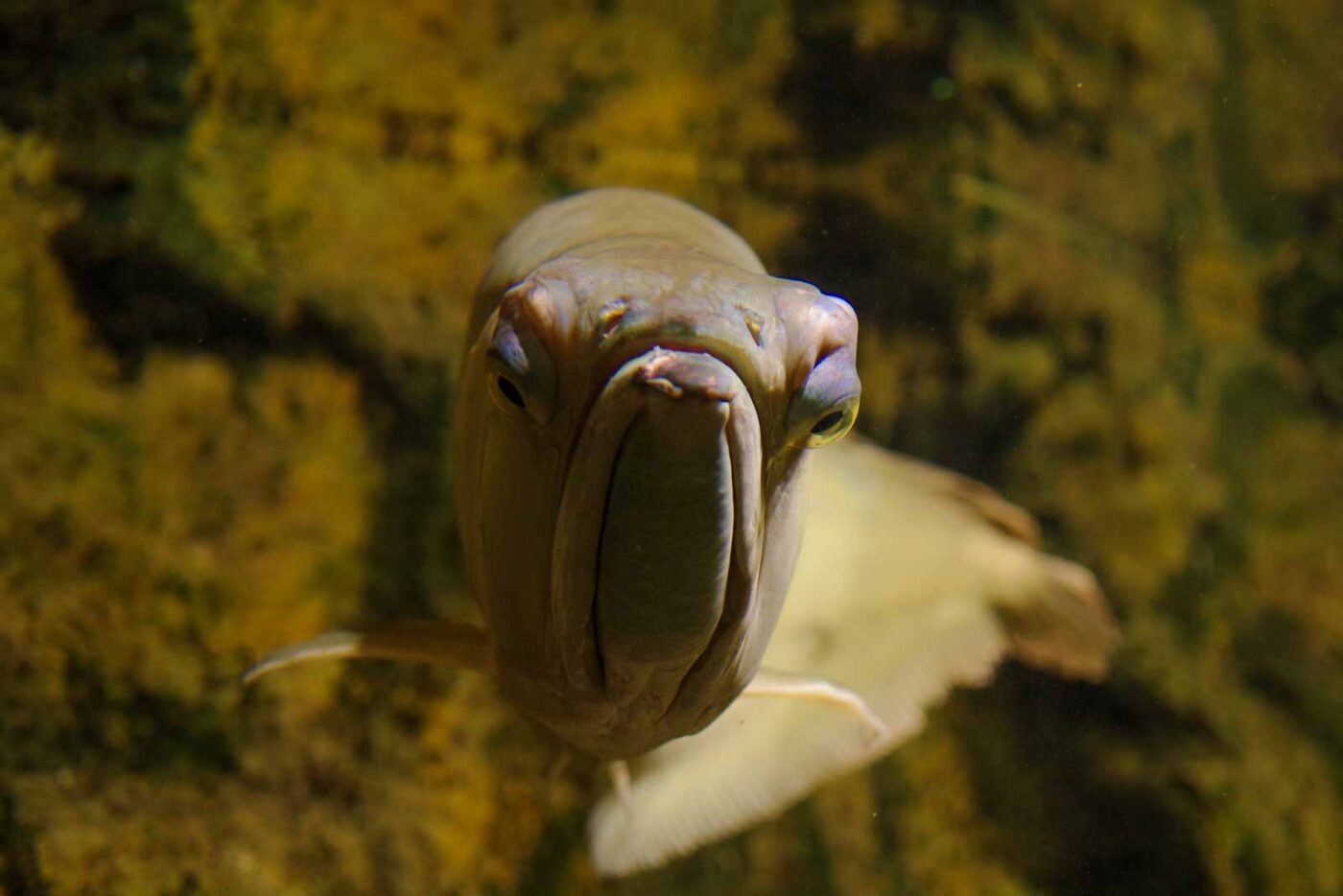 2016-08-17 - Zoo Osnabrück