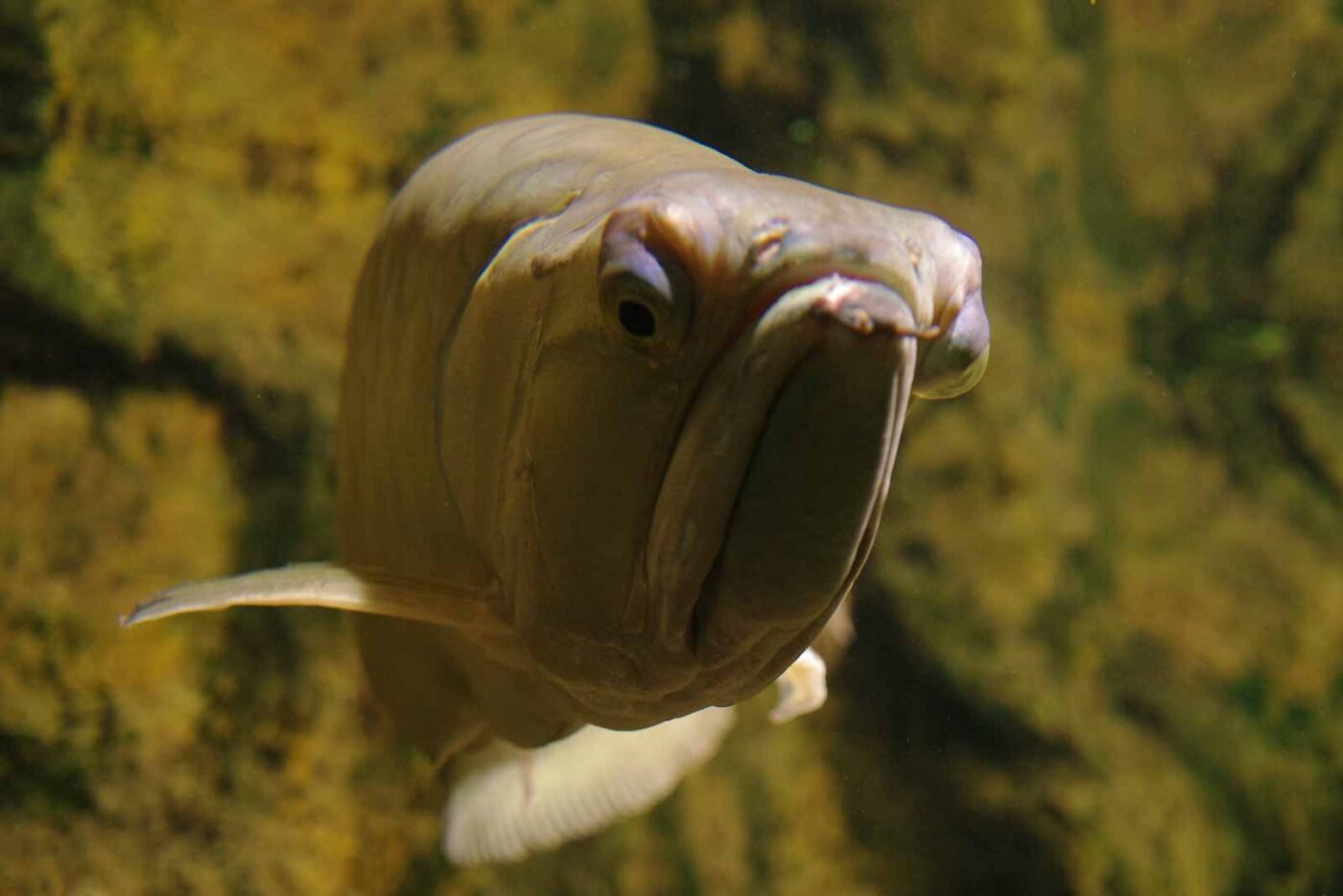 2016-08-17 - Zoo Osnabrück