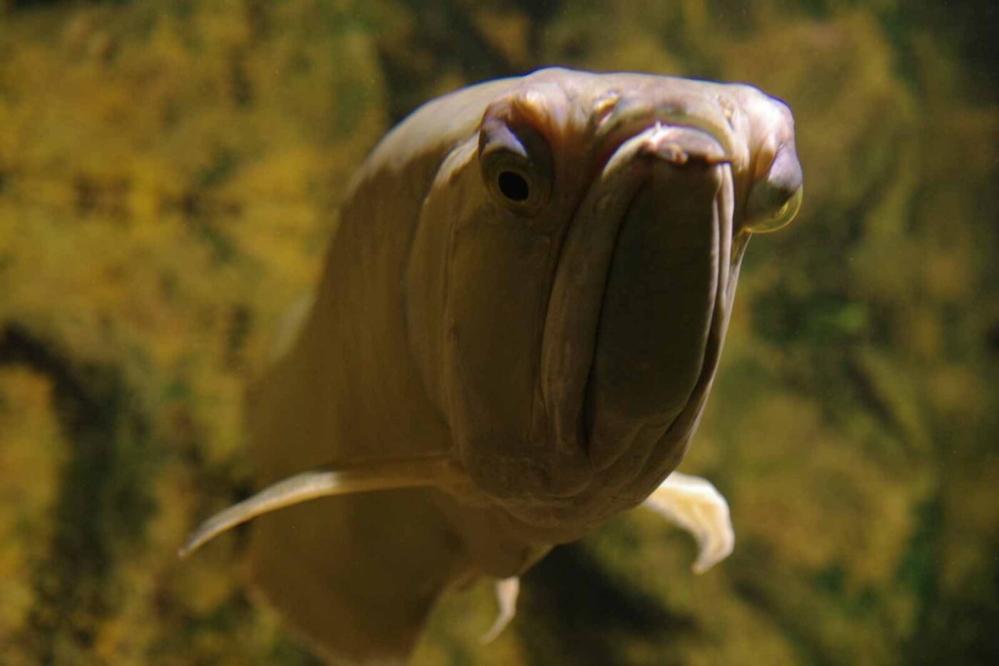 2016-08-17 - Zoo Osnabrück