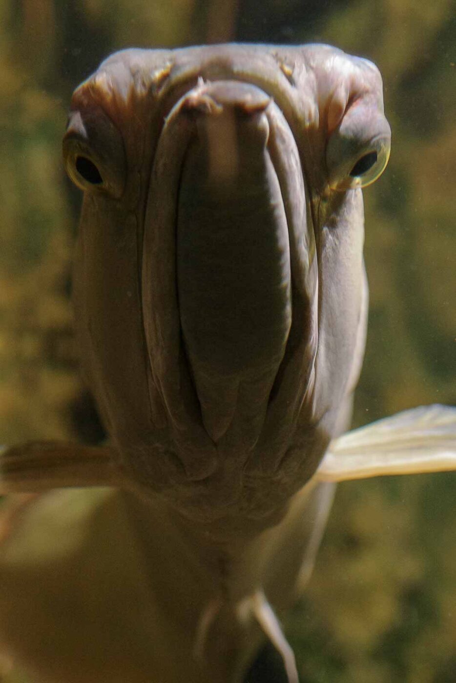 2016-08-17 - Zoo Osnabrück