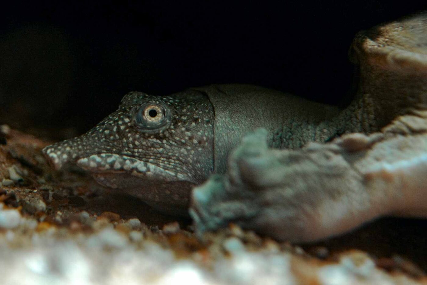 2016-08-17 - Zoo Osnabrück