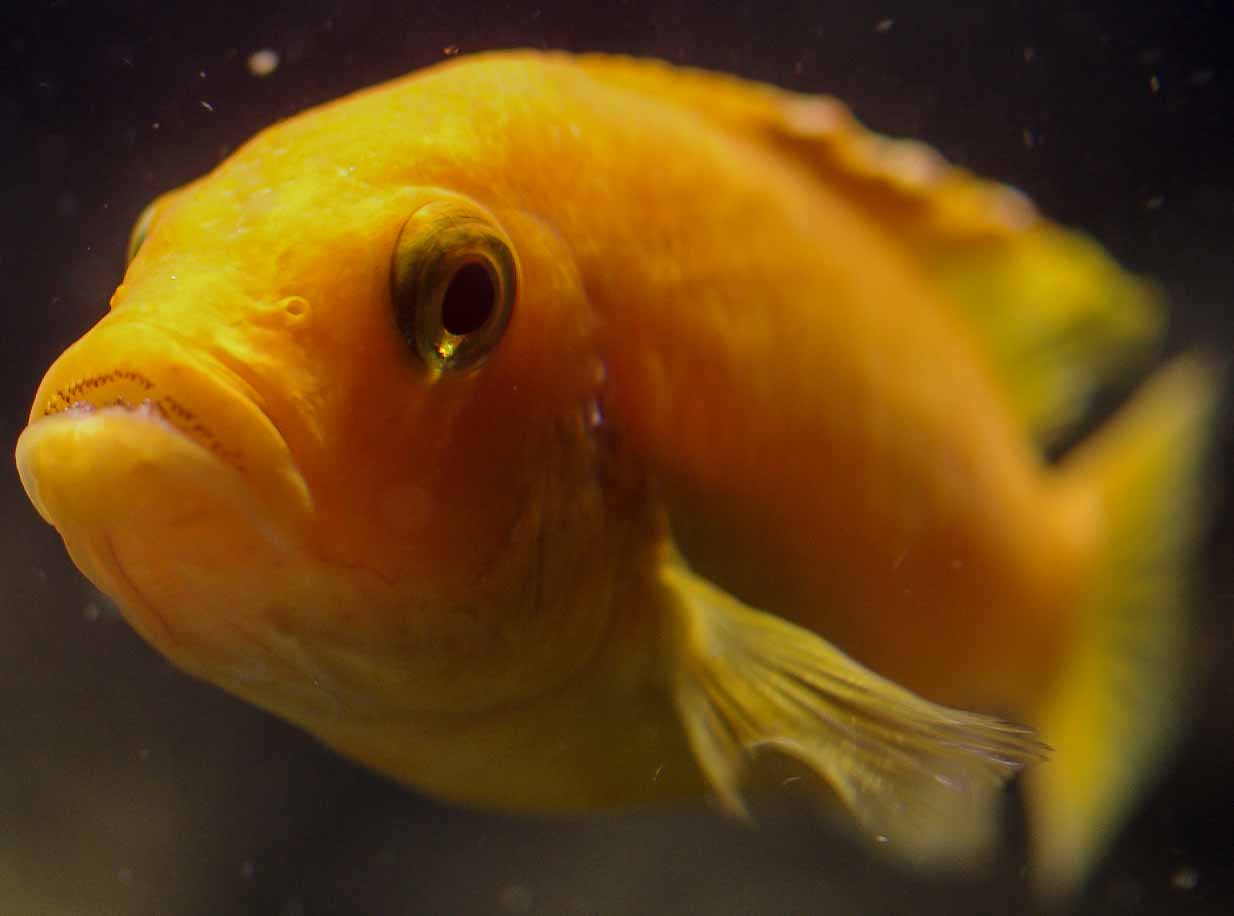 2016-08-17 - Zoo Osnabrück