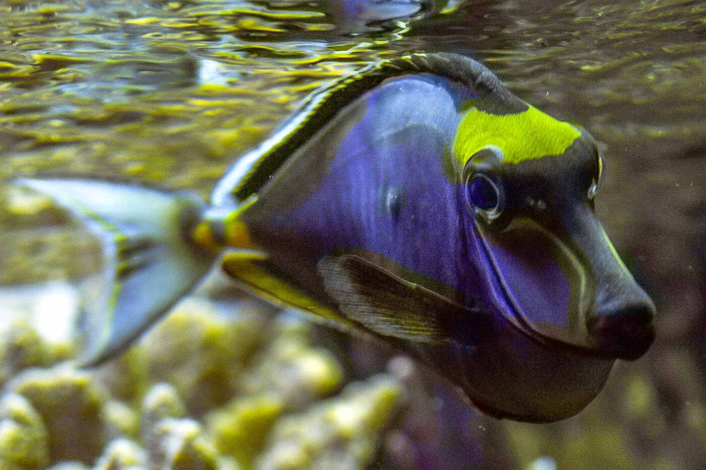 2016-08-17 - Zoo Osnabrück