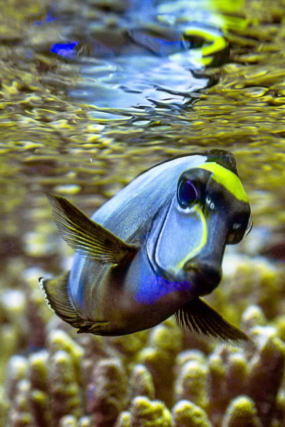 2016-08-17 - Zoo Osnabrück