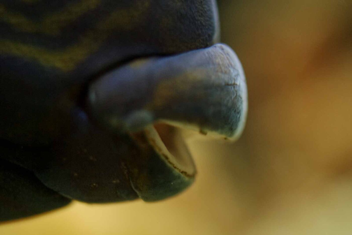 2016-08-17 - Zoo Osnabrück