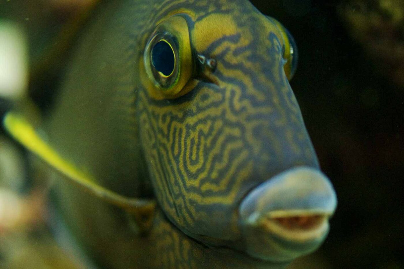 2016-08-17 - Zoo Osnabrück