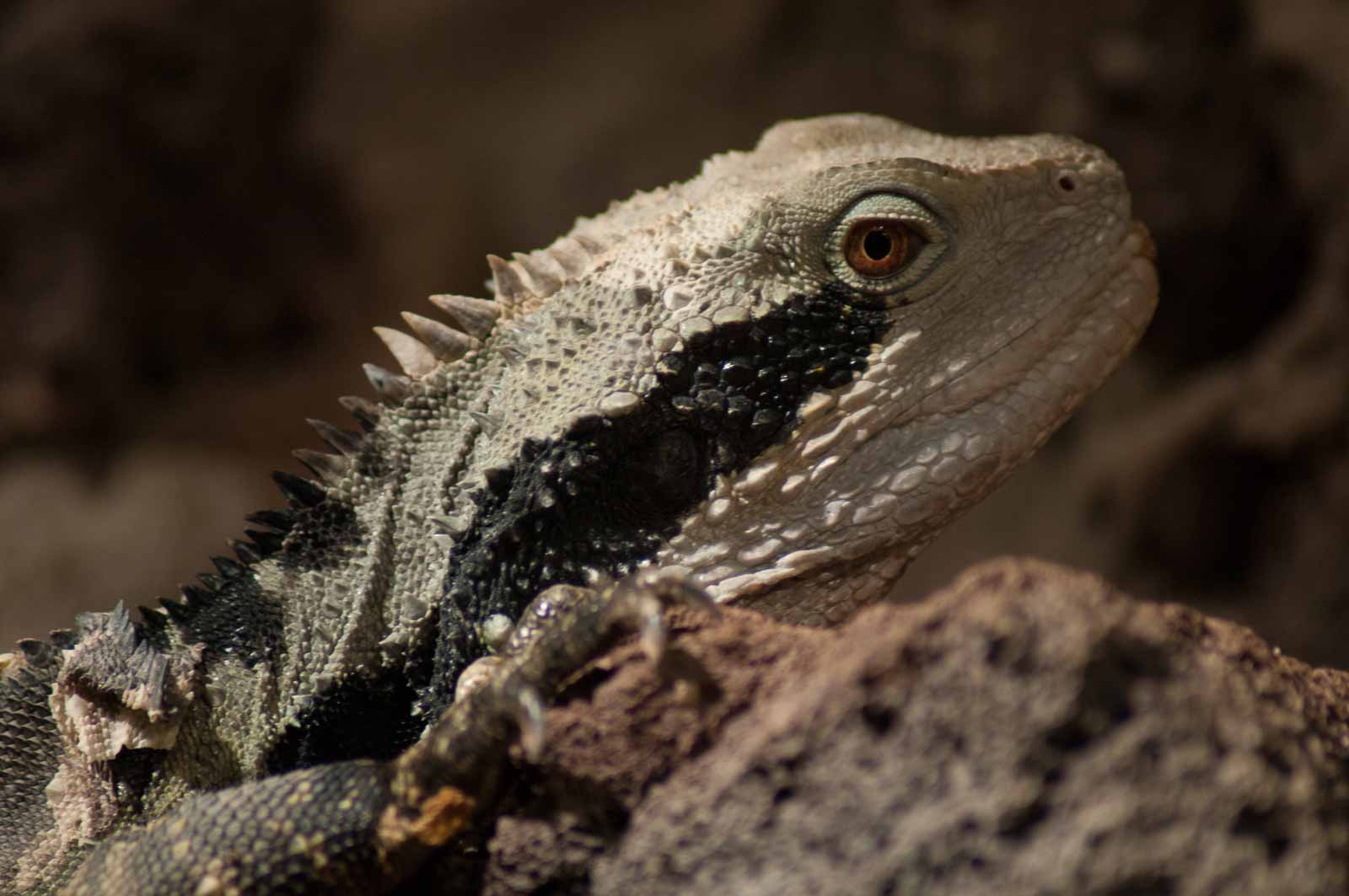 °wasseragame°
