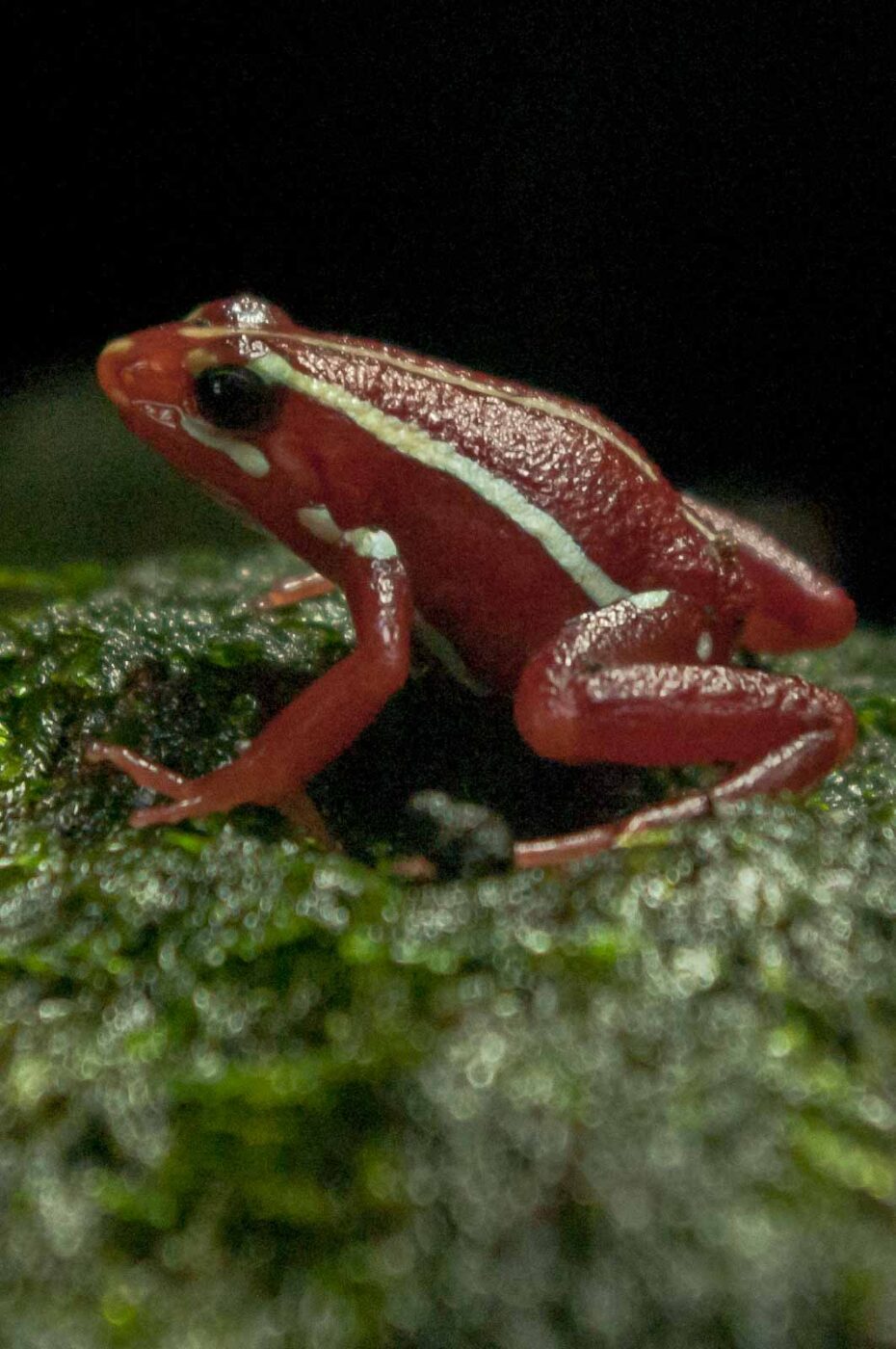 2016-08-17 - Zoo Osnabrück