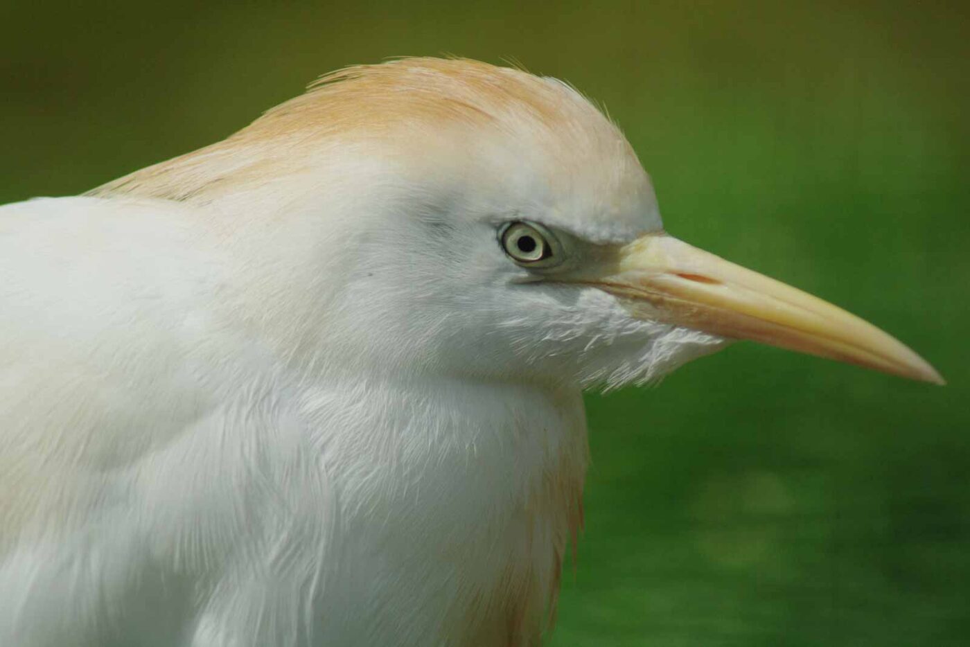 2016-08-17 - Zoo Osnabrück