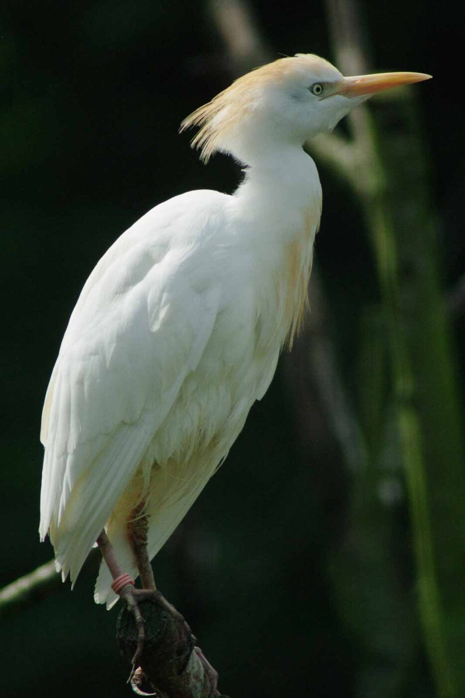 2016-08-17 - Zoo Osnabrück