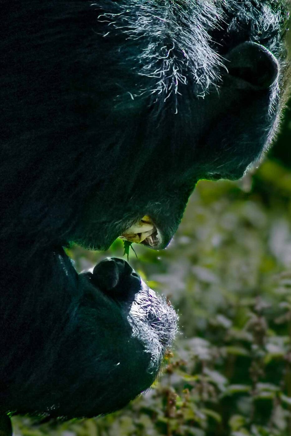 2016-08-17 - Zoo Osnabrück
