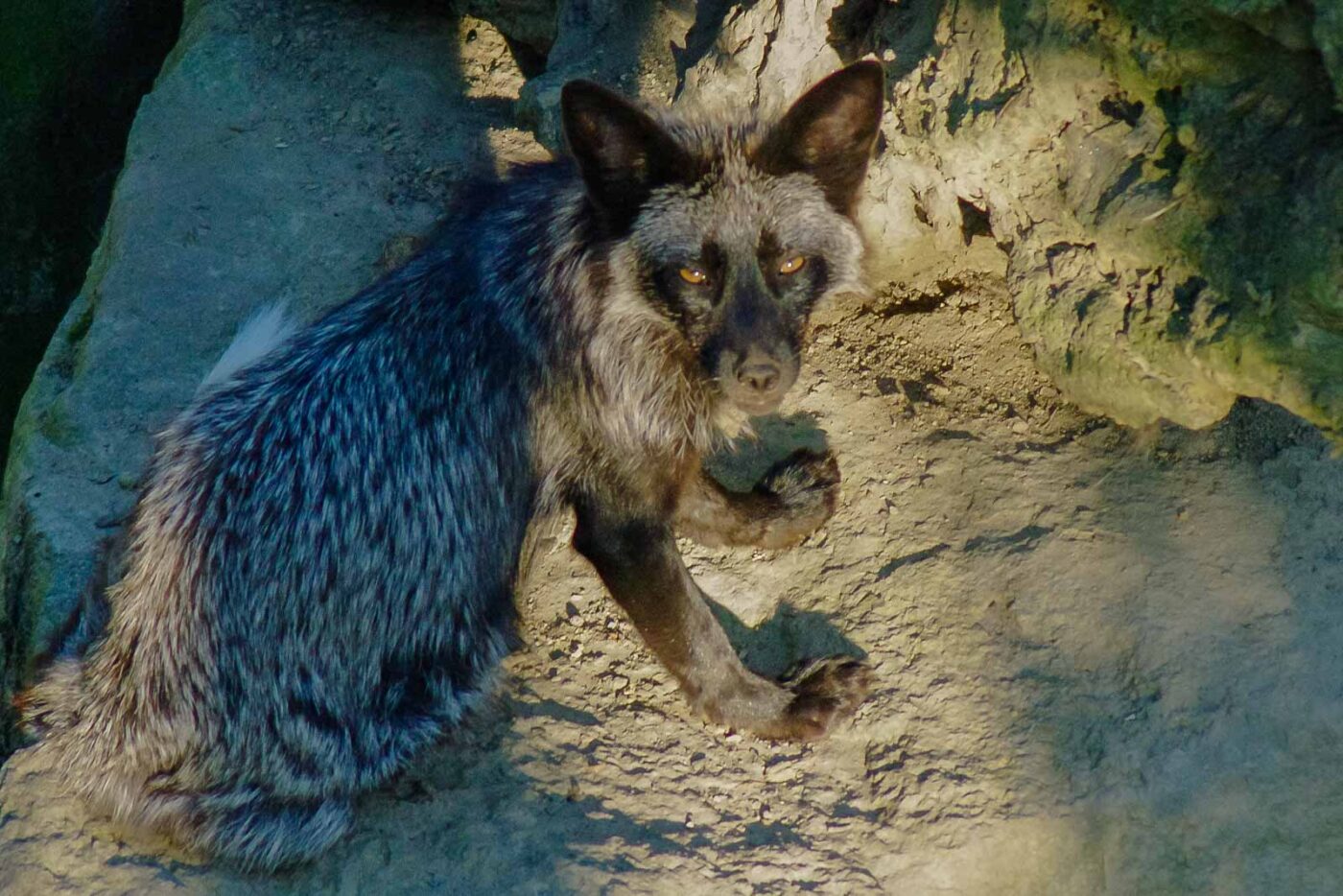 2016-08-17 - Zoo Osnabrück