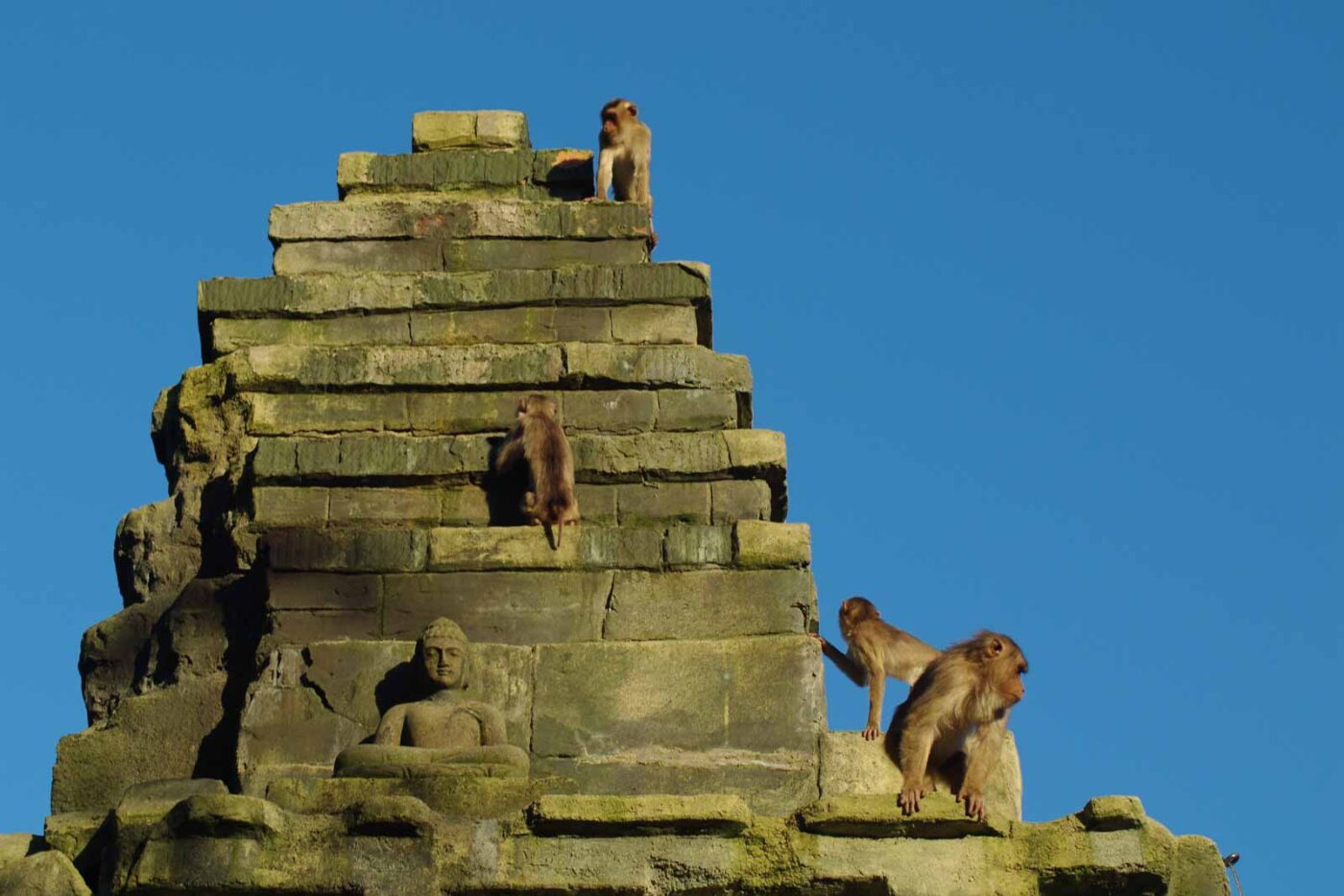 2016-08-17 - Zoo Osnabrück