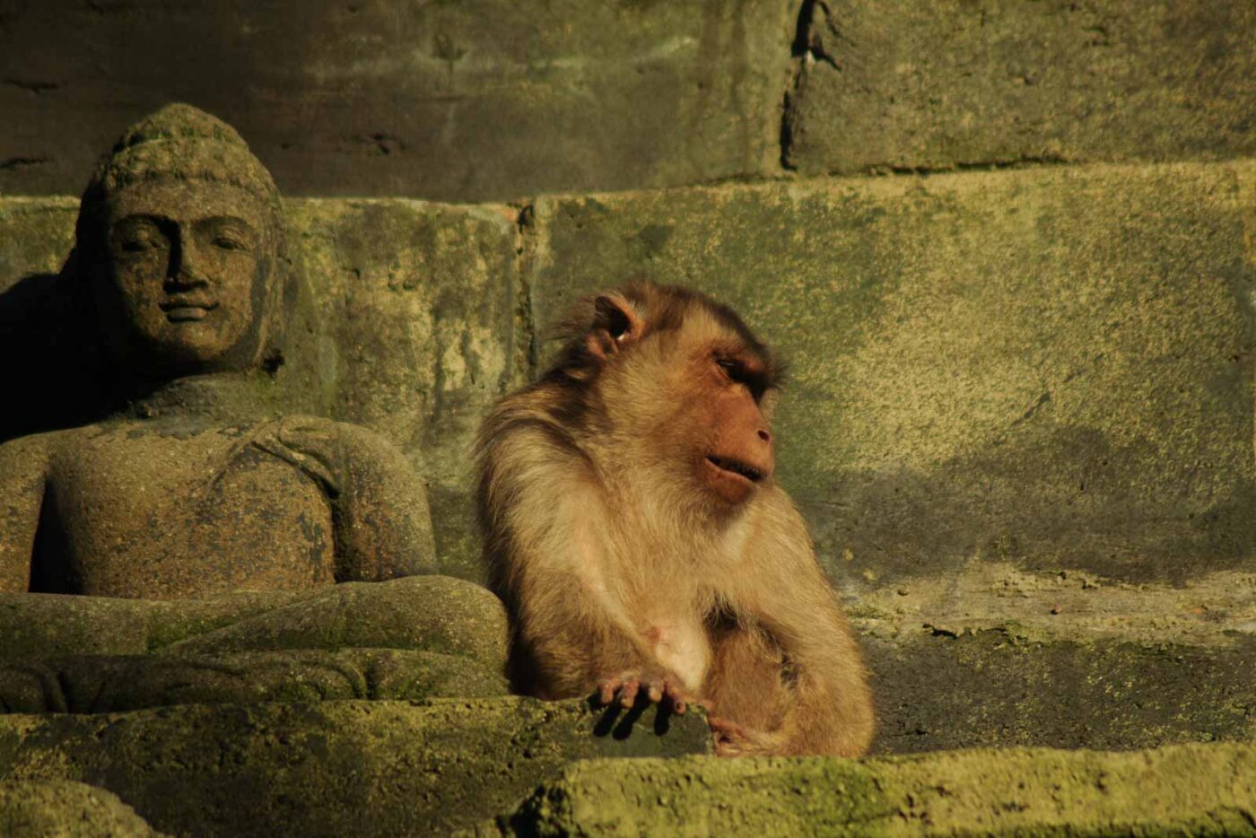 2016-08-17 - Zoo Osnabrück