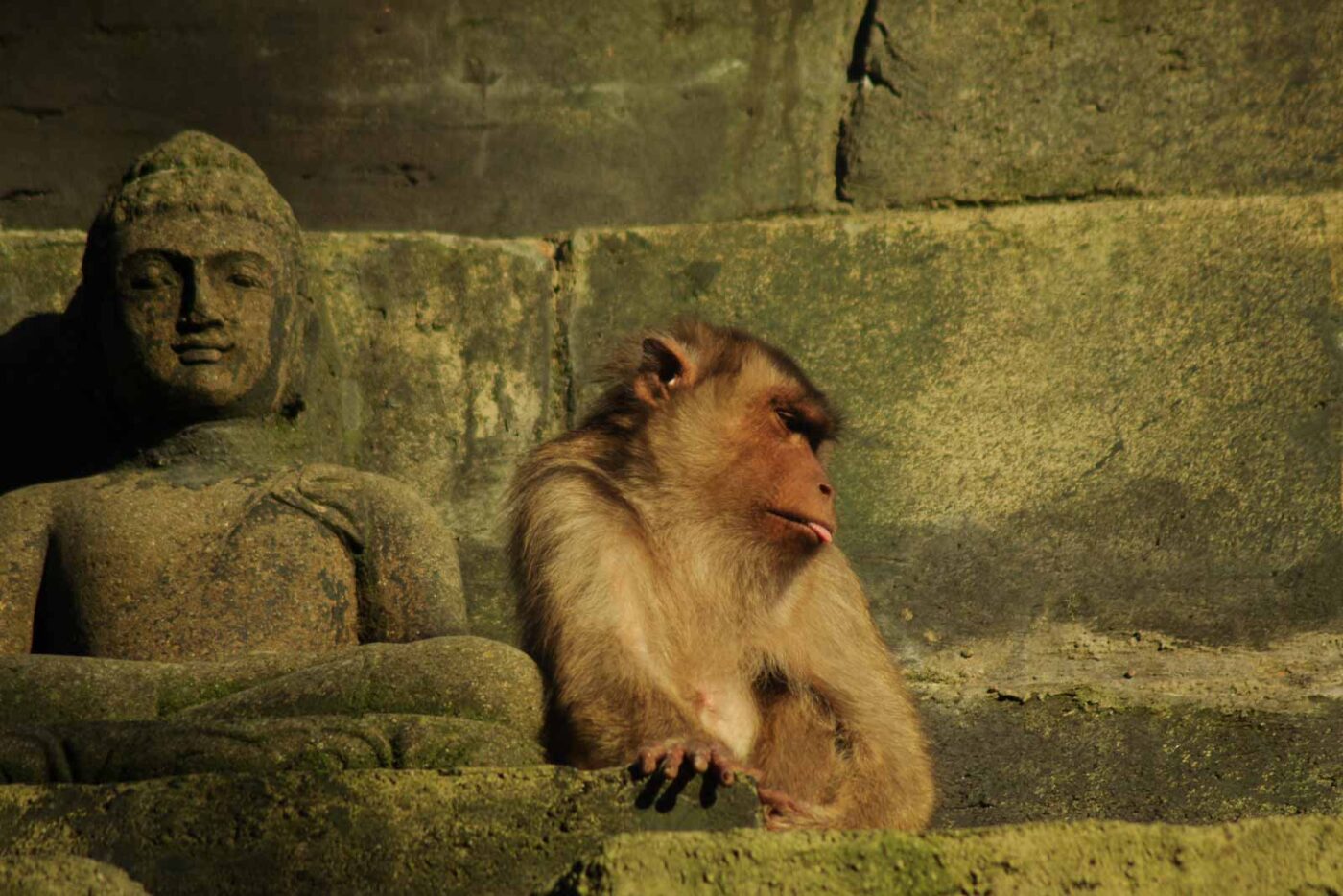2016-08-17 - Zoo Osnabrück