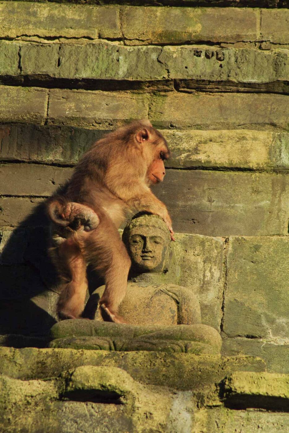 2016-08-17 - Zoo Osnabrück
