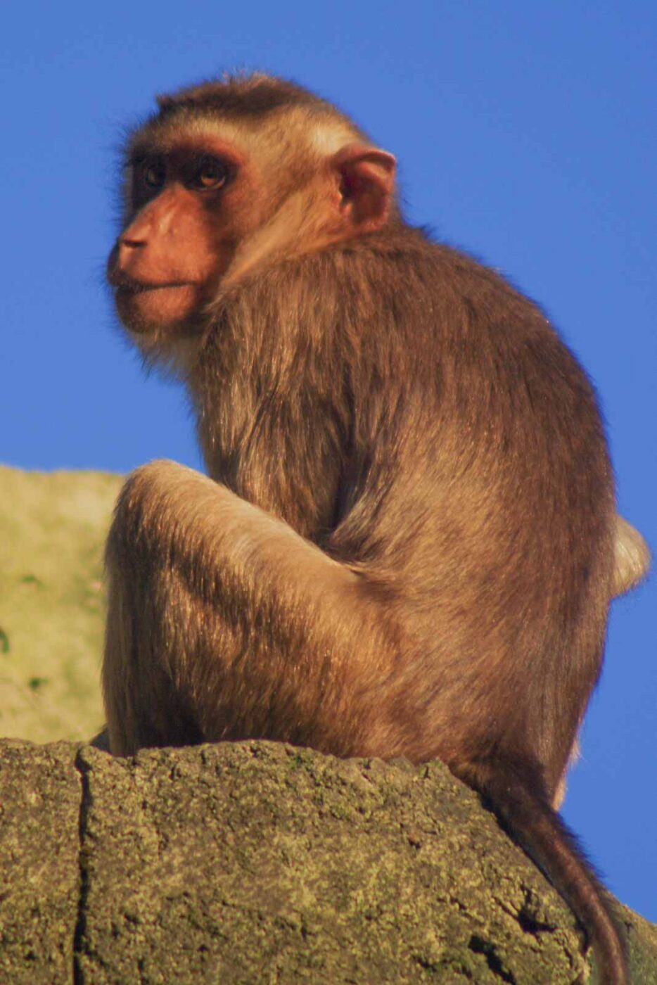 2016-08-17 - Zoo Osnabrück