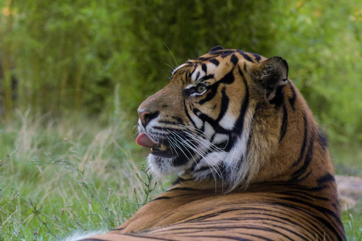 2016-08-17 - Zoo Osnabrück