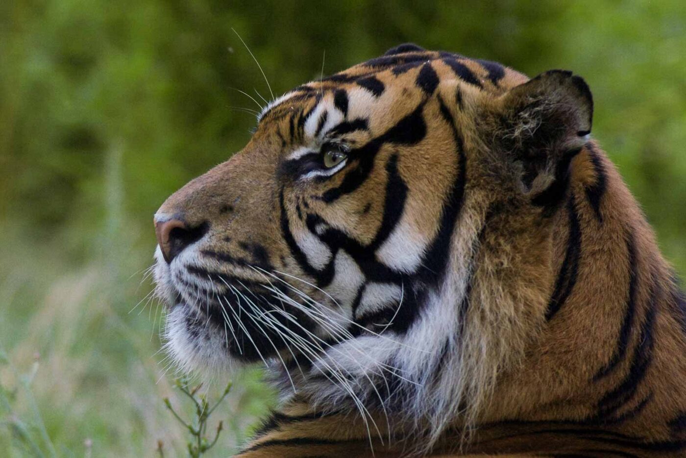 2016-08-17 - Zoo Osnabrück