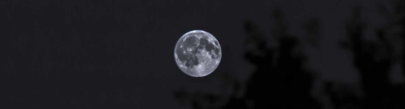 2016-08-17 - Zoo Osnabrück