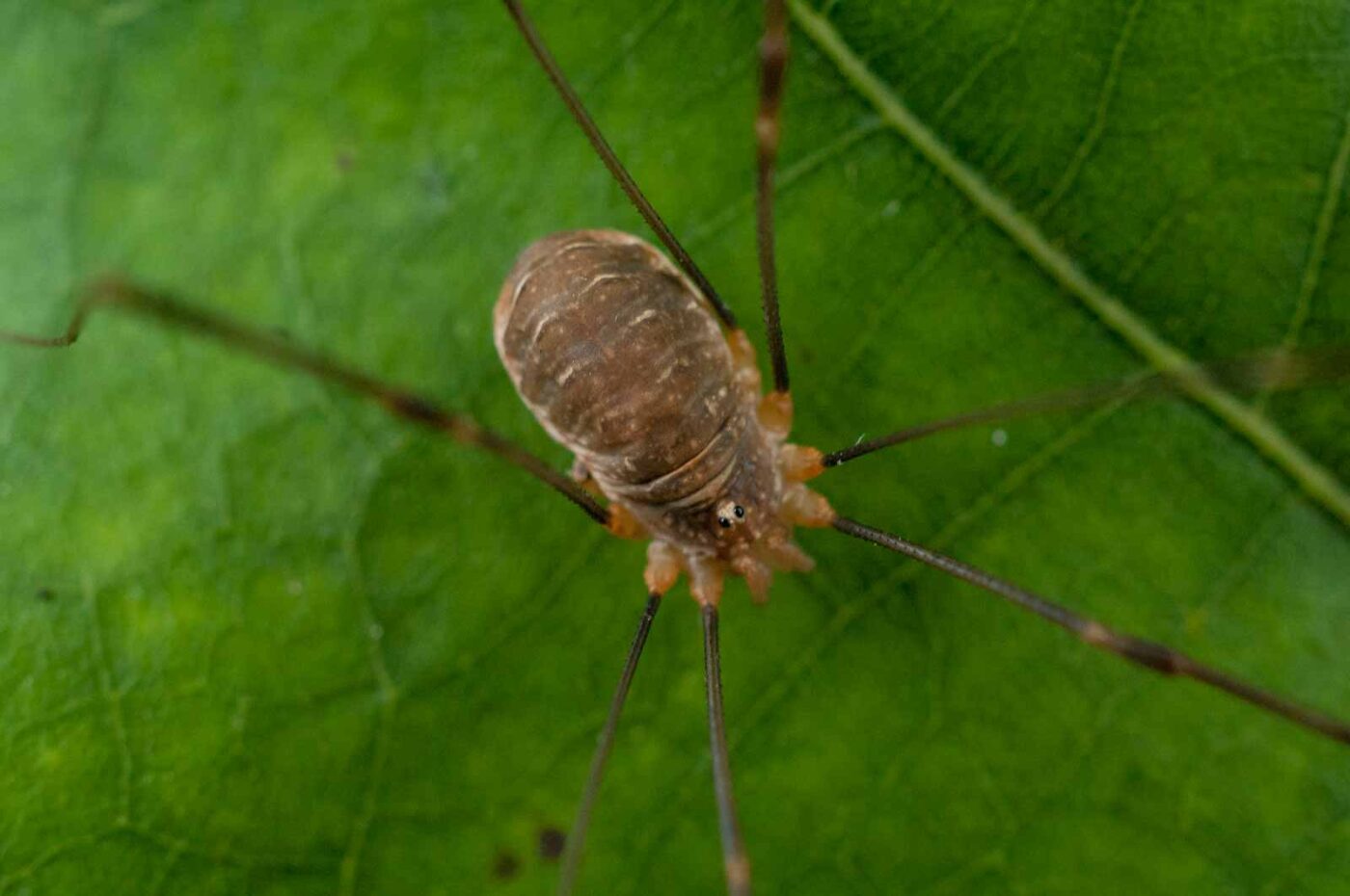 2016-09-03 - NSG Brinksknapp Recklinghausen