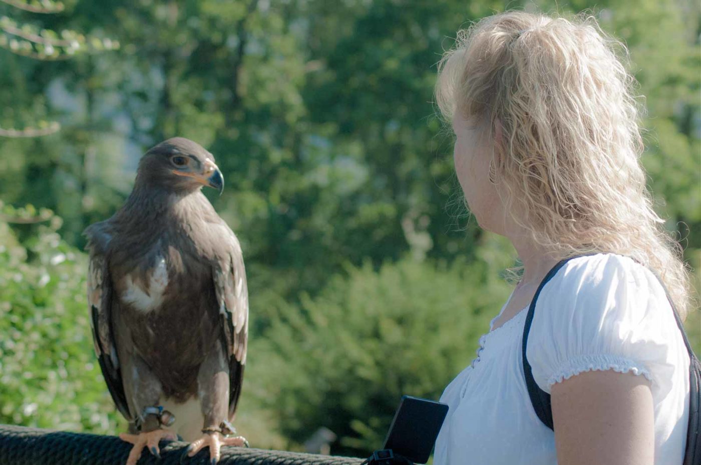 2016-09-08 - Greifvogelwarte Berlebeck