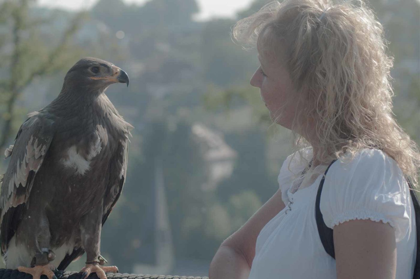 2016-09-08 - Greifvogelwarte Berlebeck