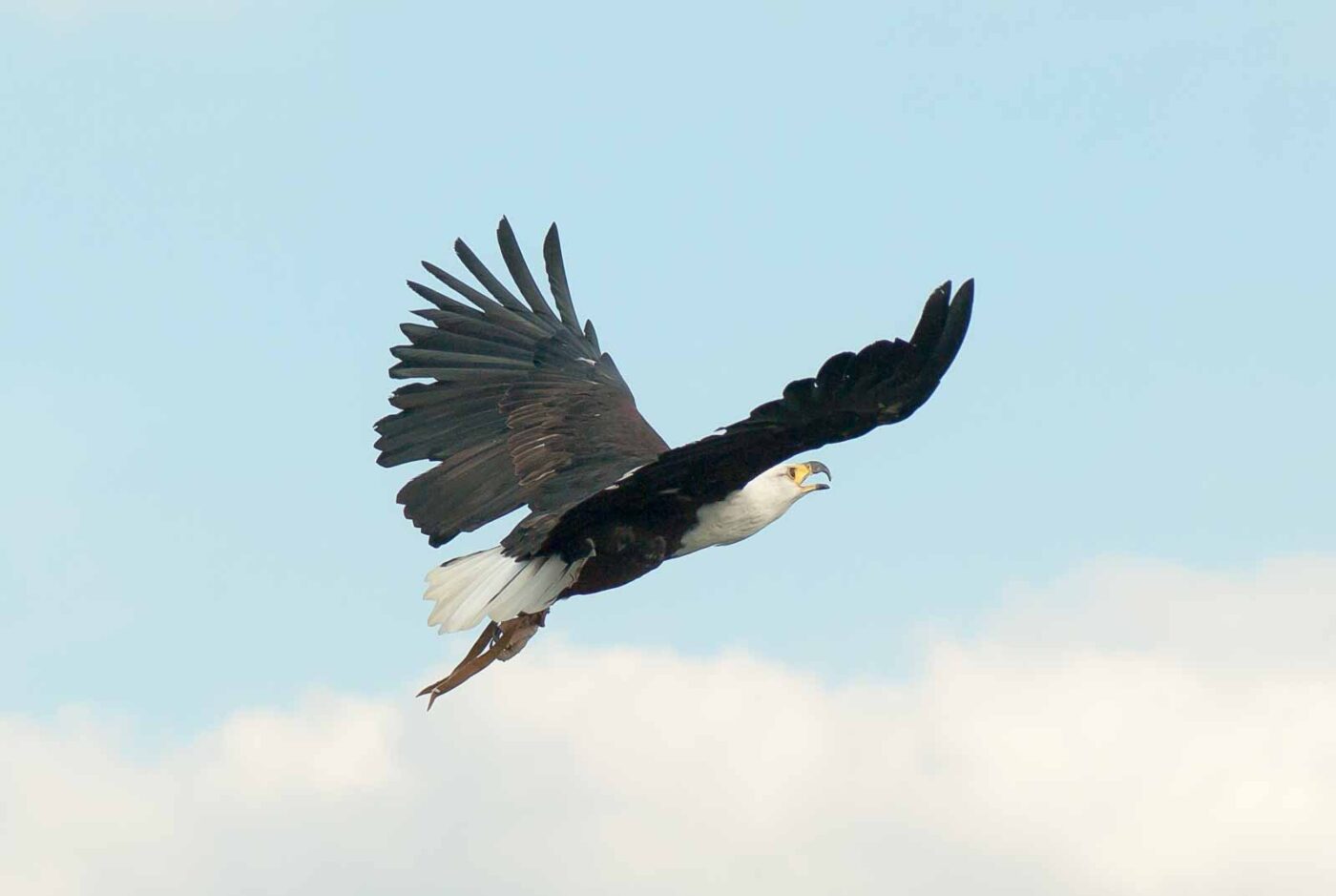 2016-09-08 - Greifvogelwarte Berlebeck