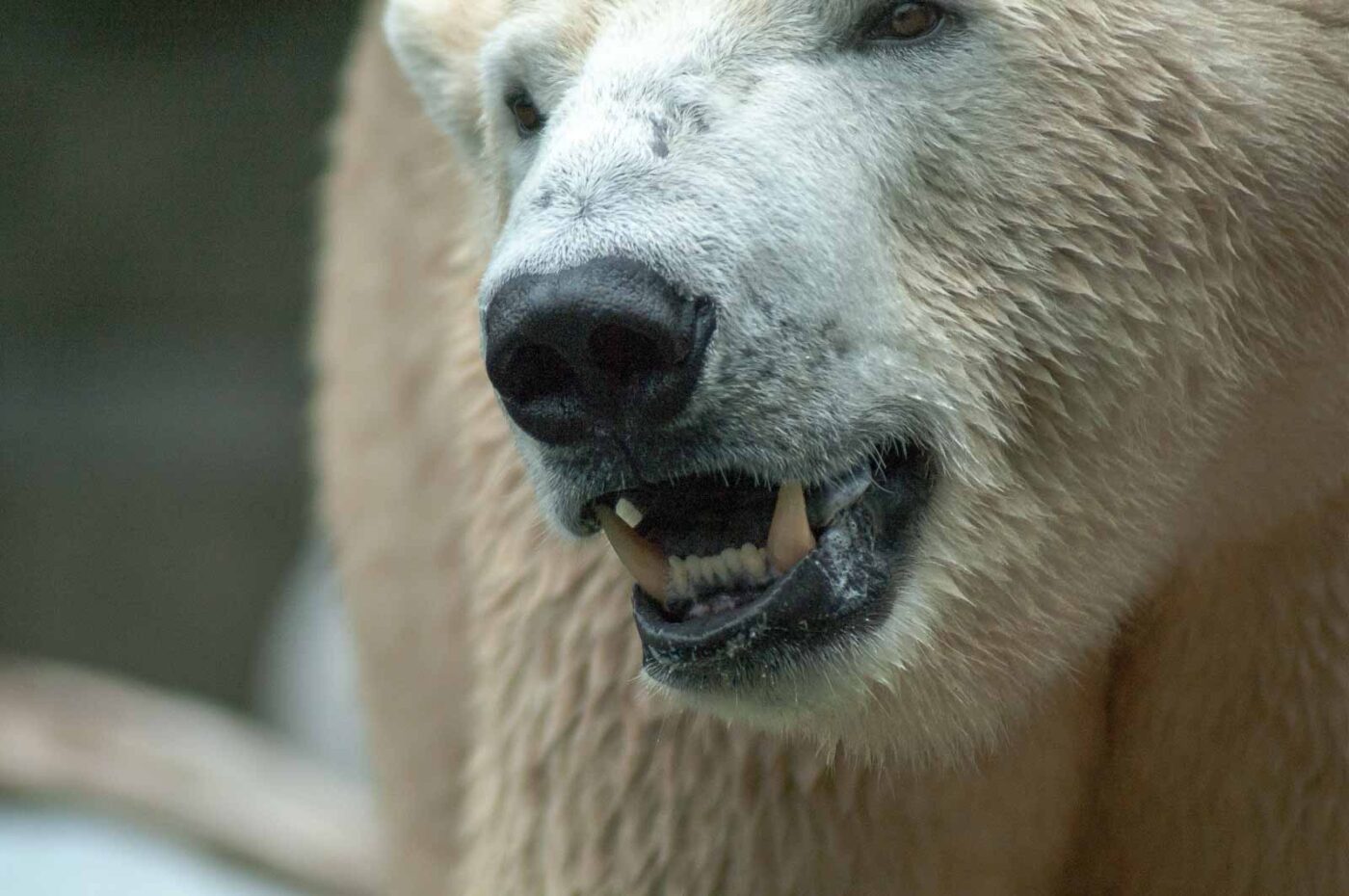 2016-09-18 - Grüner Zoo Wuppertal