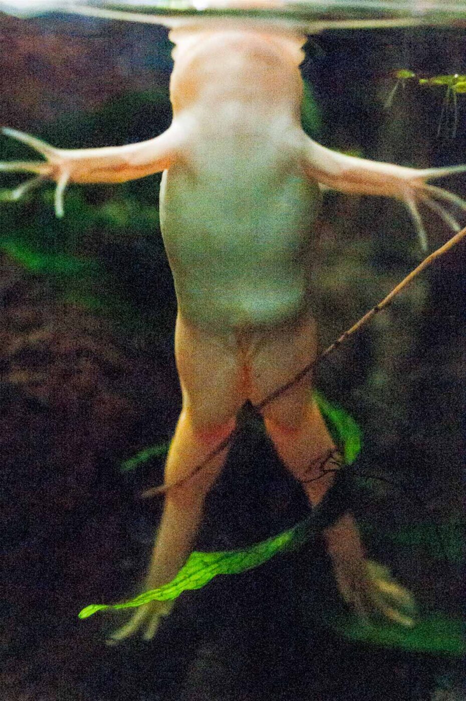 2016-09-18 - Grüner Zoo Wuppertal