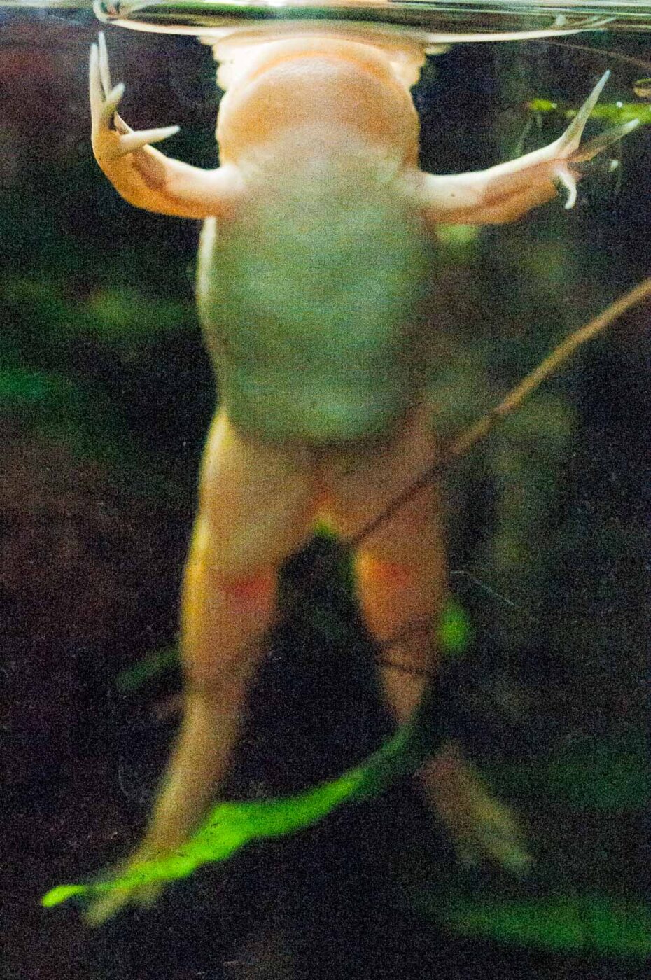 2016-09-18 - Grüner Zoo Wuppertal