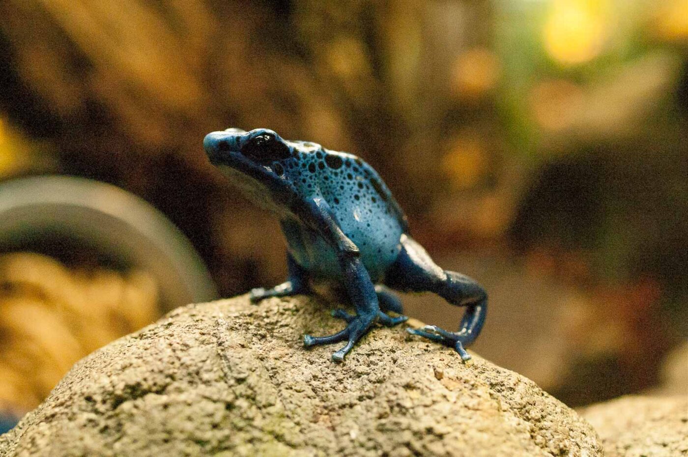 2016-09-18 - Grüner Zoo Wuppertal