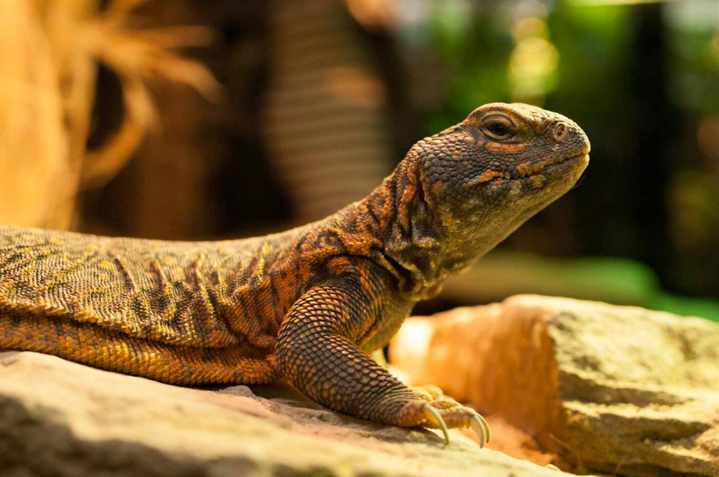 2016-09-18 - Grüner Zoo Wuppertal