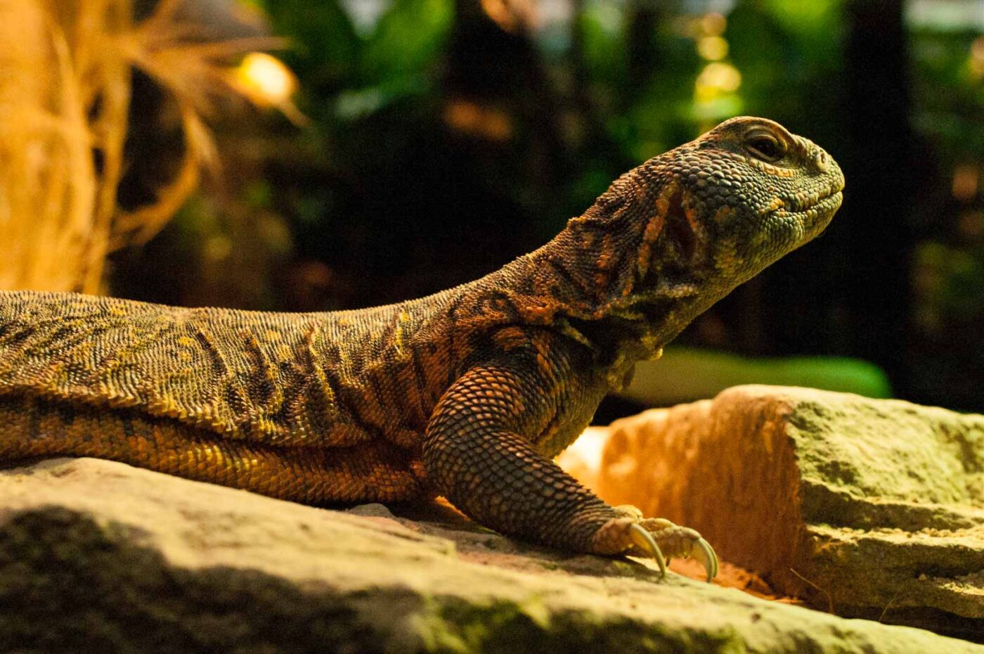 2016-09-18 - Grüner Zoo Wuppertal