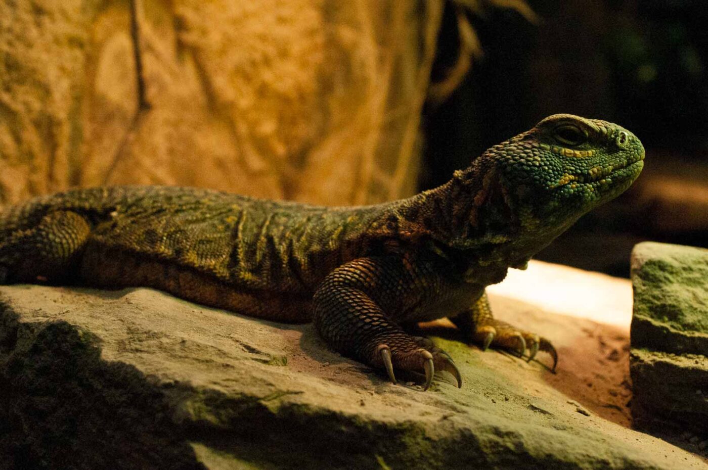 2016-09-18 - Grüner Zoo Wuppertal