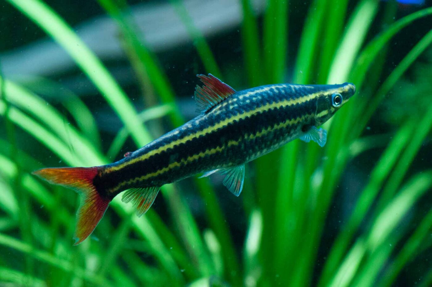 2016-09-18 - Grüner Zoo Wuppertal